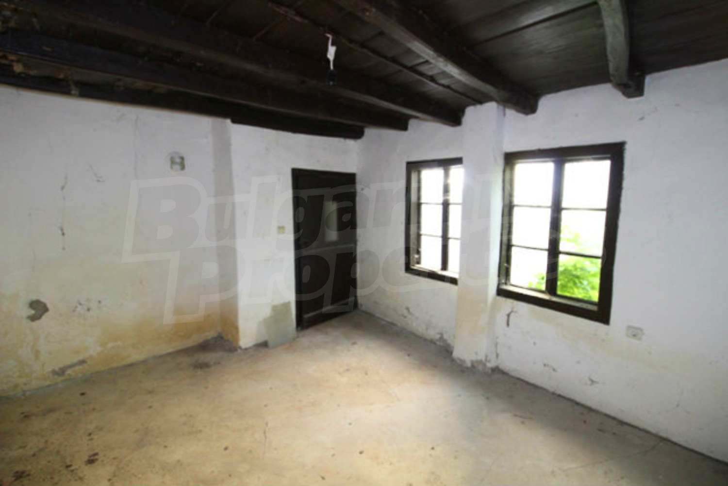 Gallery Picture 2