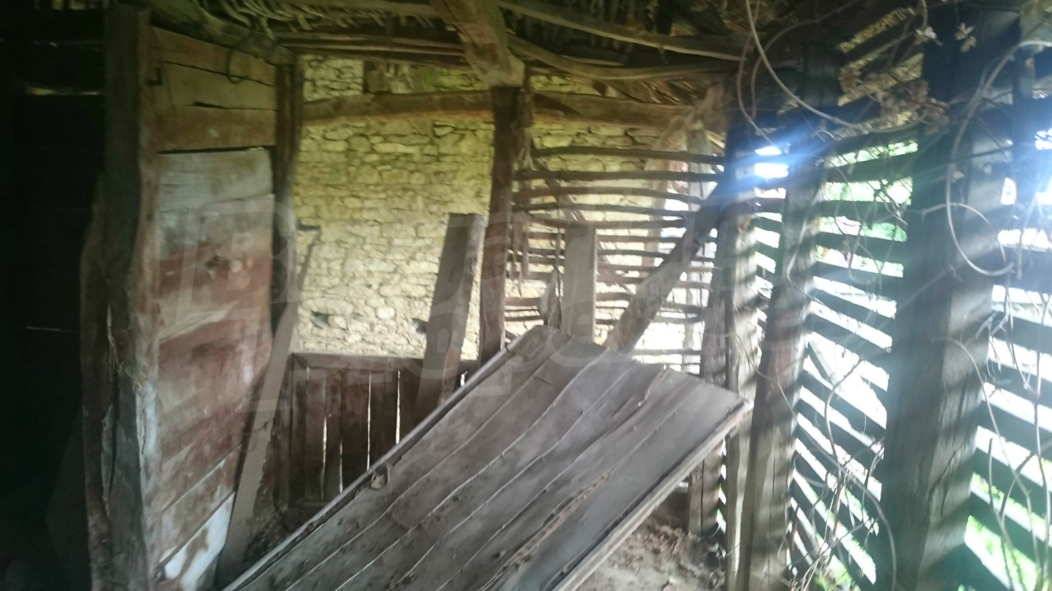 Gallery Picture 36