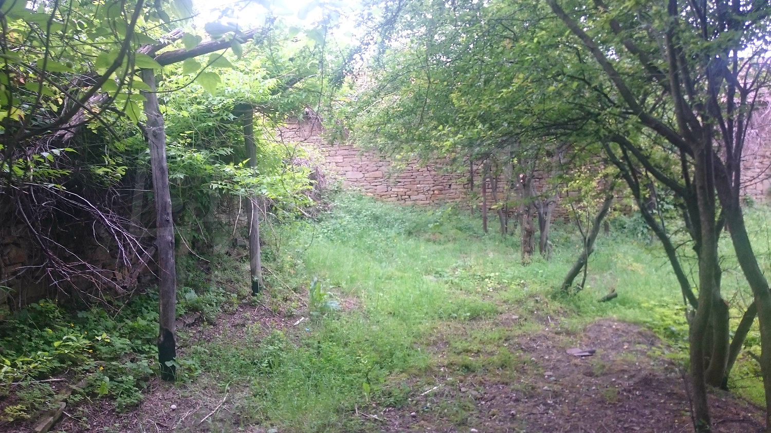Gallery Picture 43