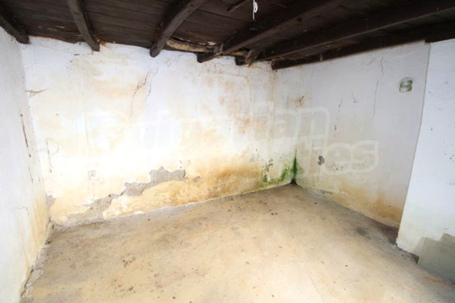 Gallery Picture 58