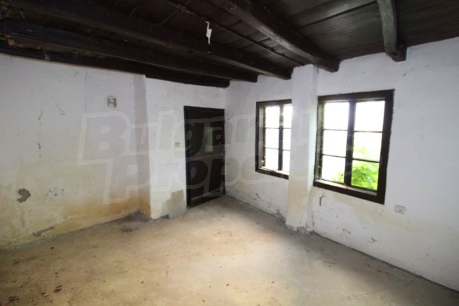 Gallery Picture 59