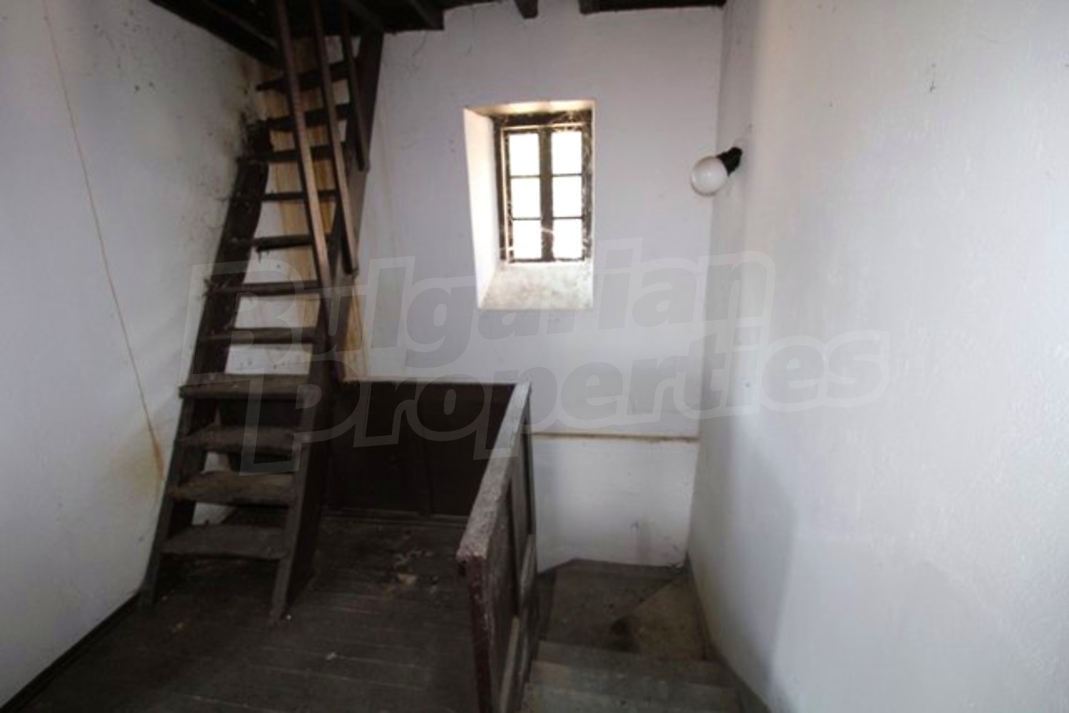 Gallery Picture 65