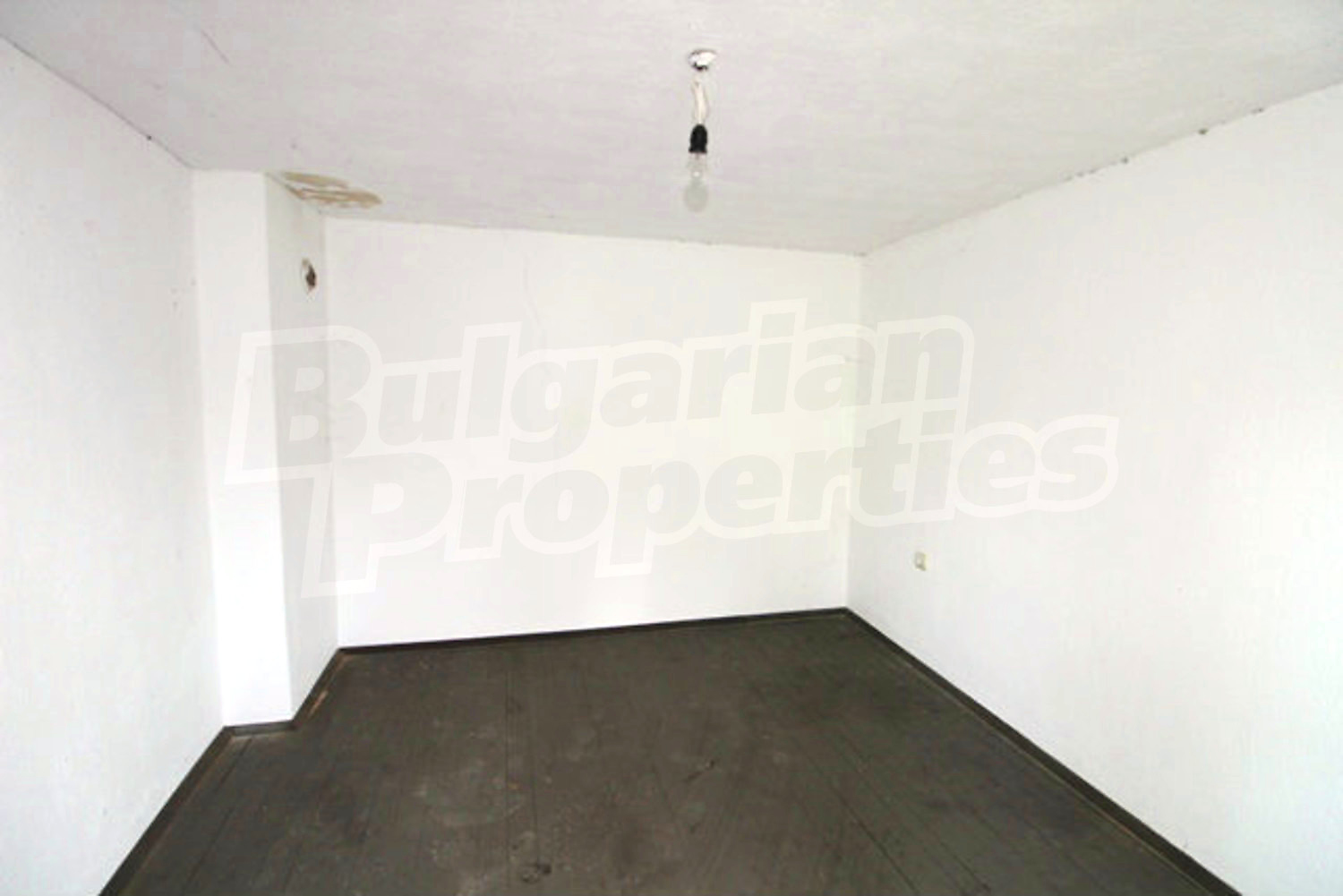 Gallery Picture 8