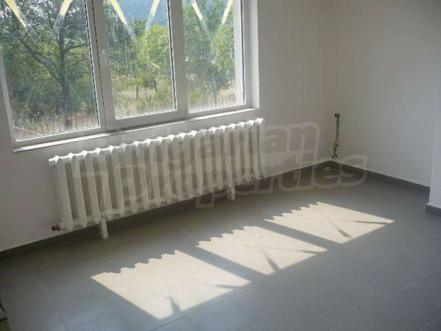 Gallery Picture 11