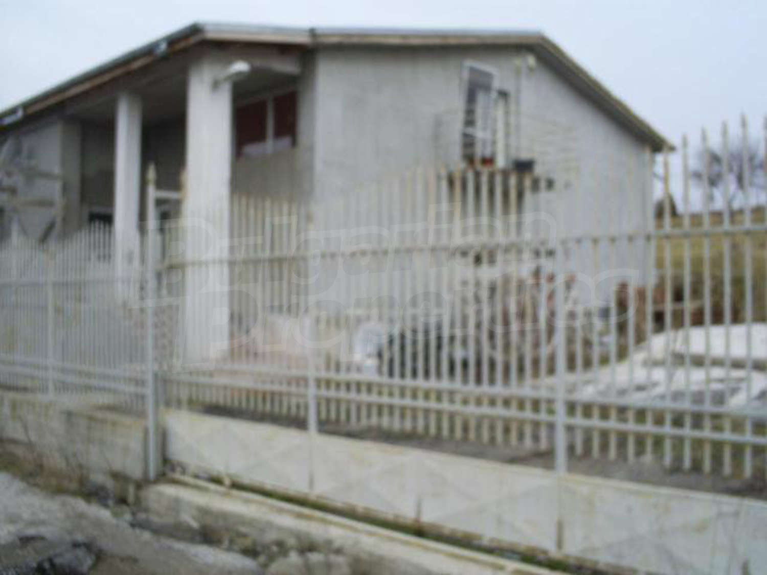 Gallery Picture 23
