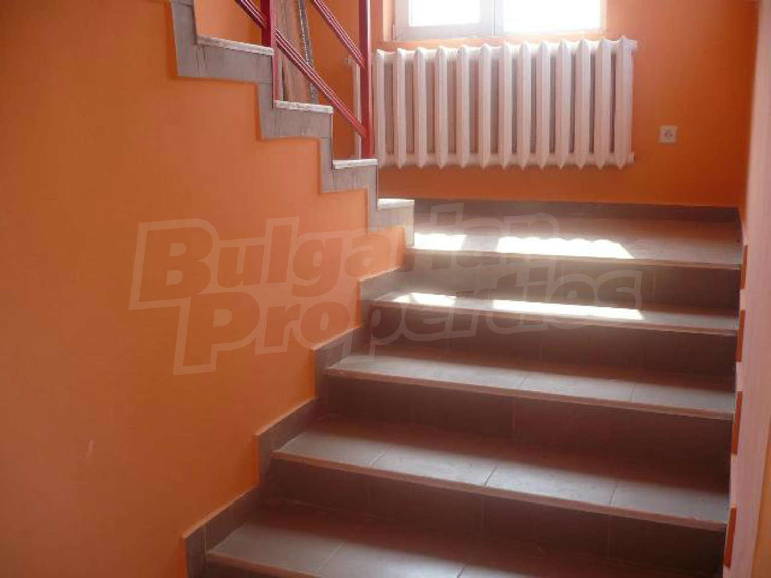 Gallery Picture 7