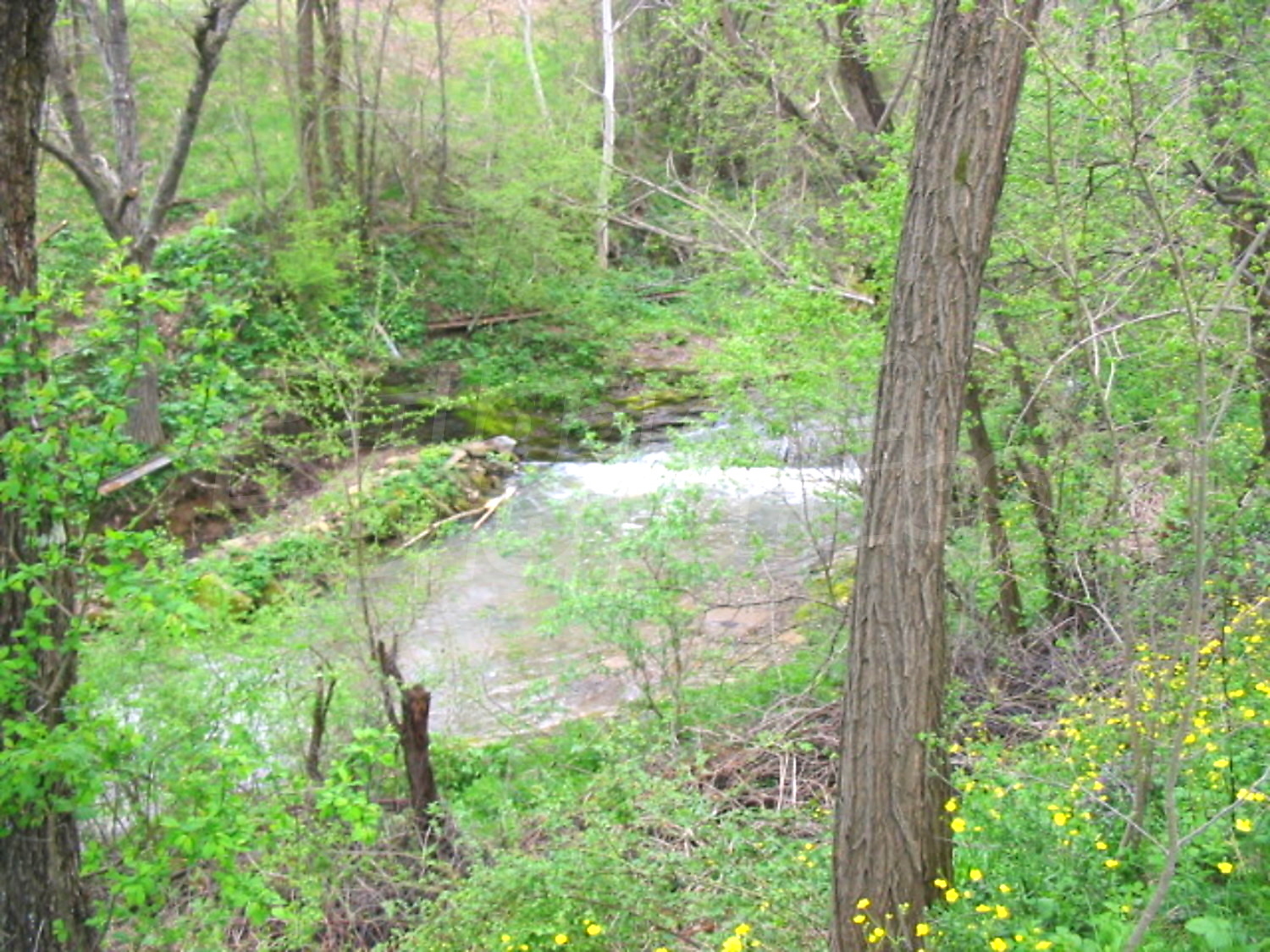 Gallery Picture 10