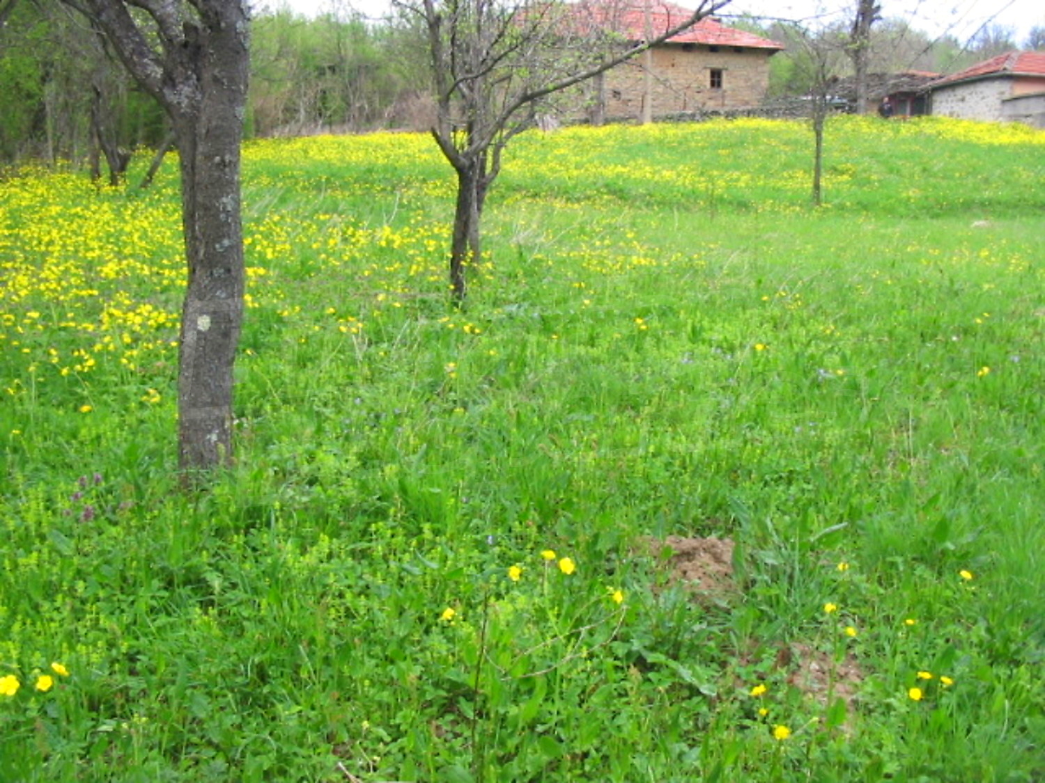 Gallery Picture 7
