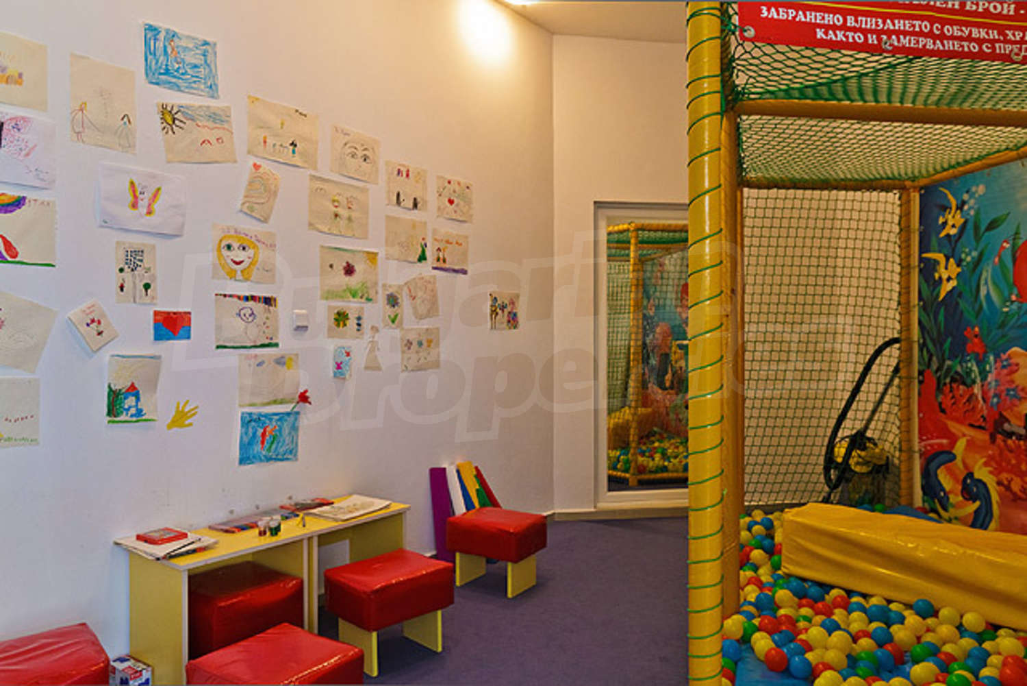 Gallery Picture 31