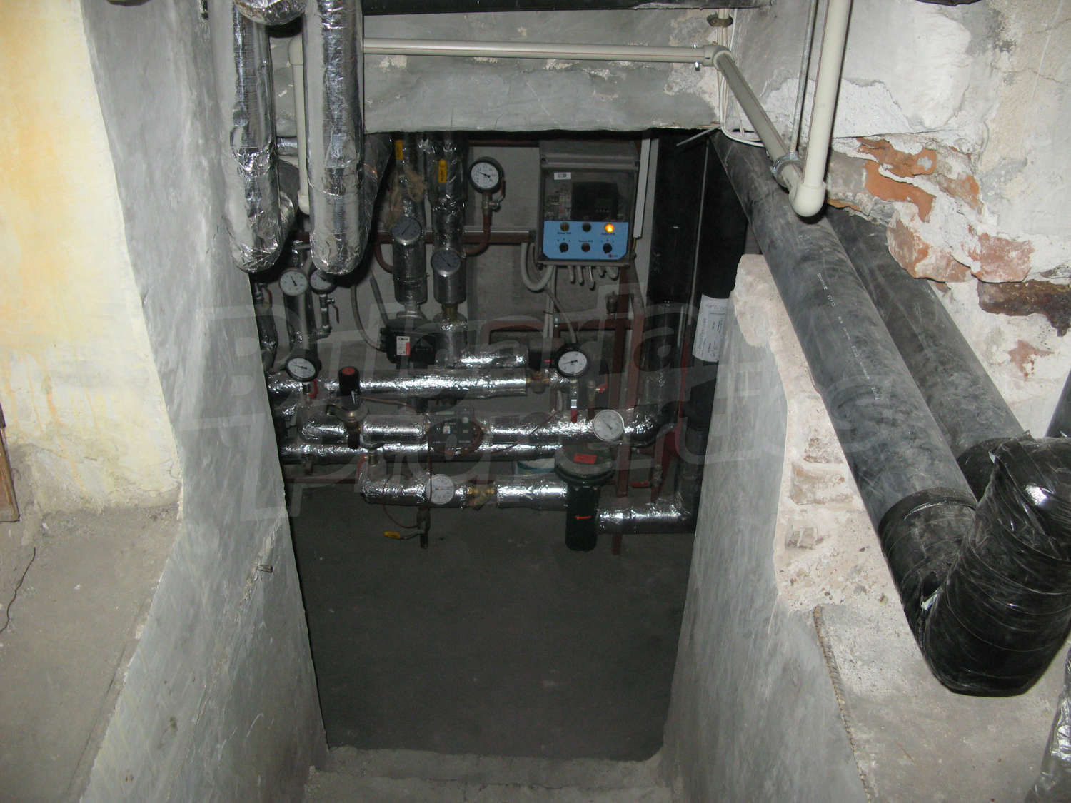 Gallery Picture 38
