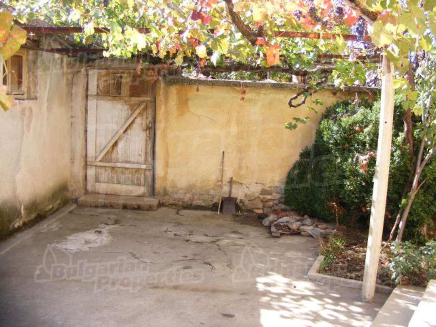 Gallery Picture 26