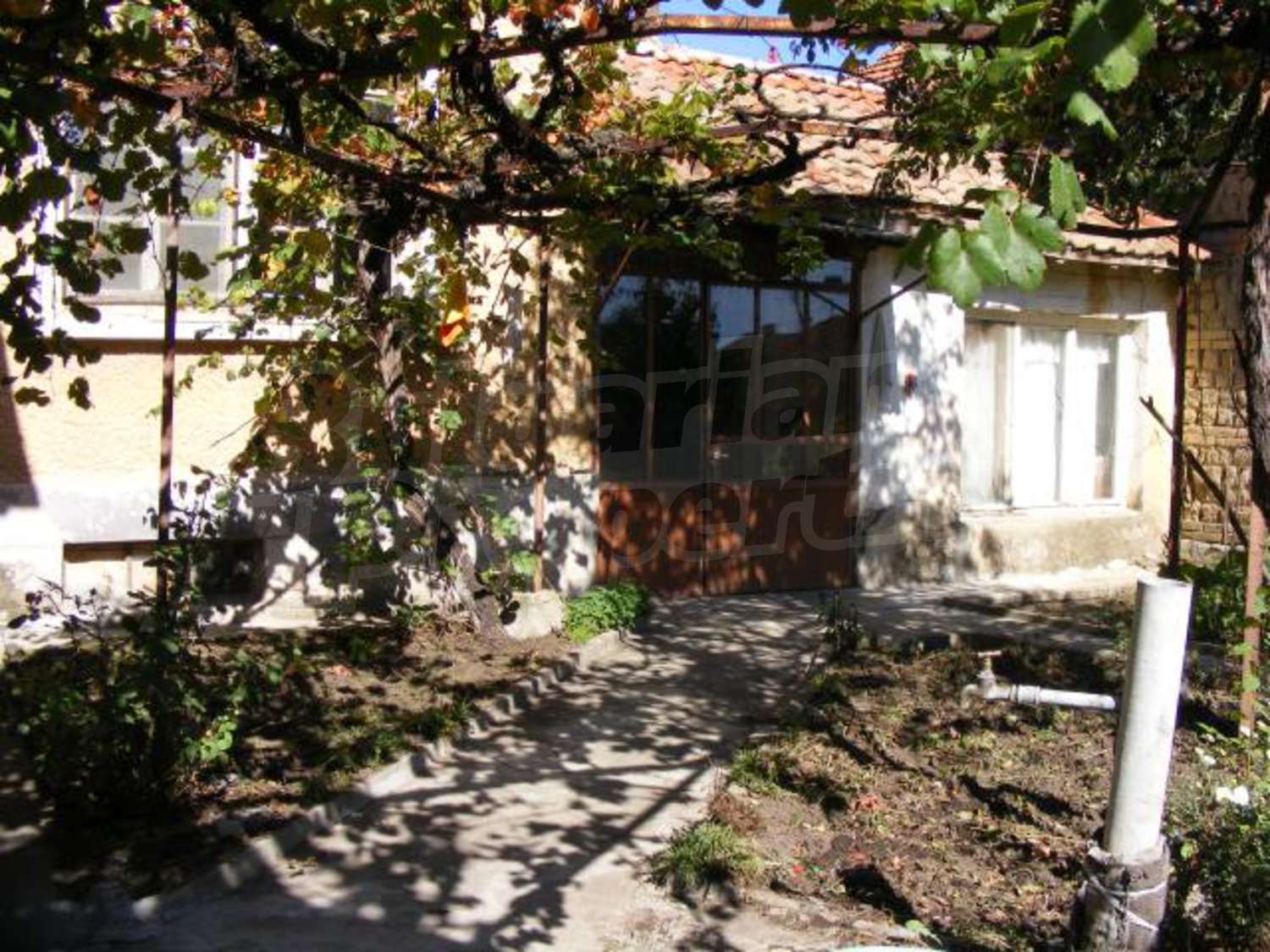Gallery Picture 28
