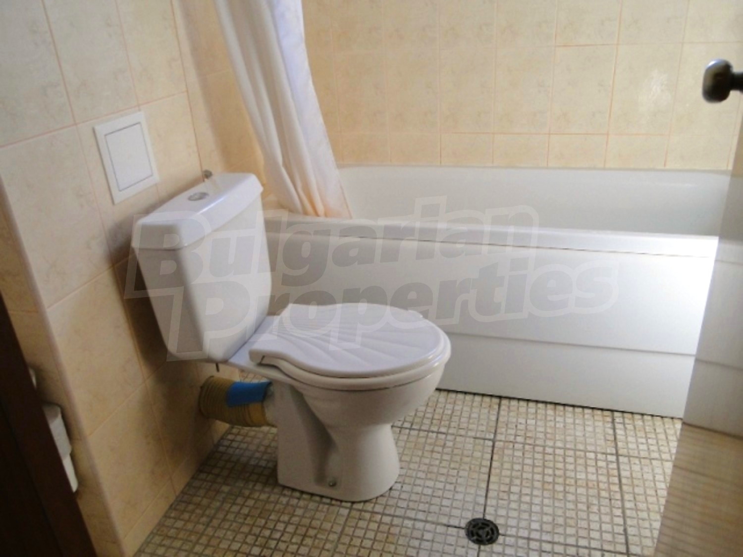 Gallery Picture 10