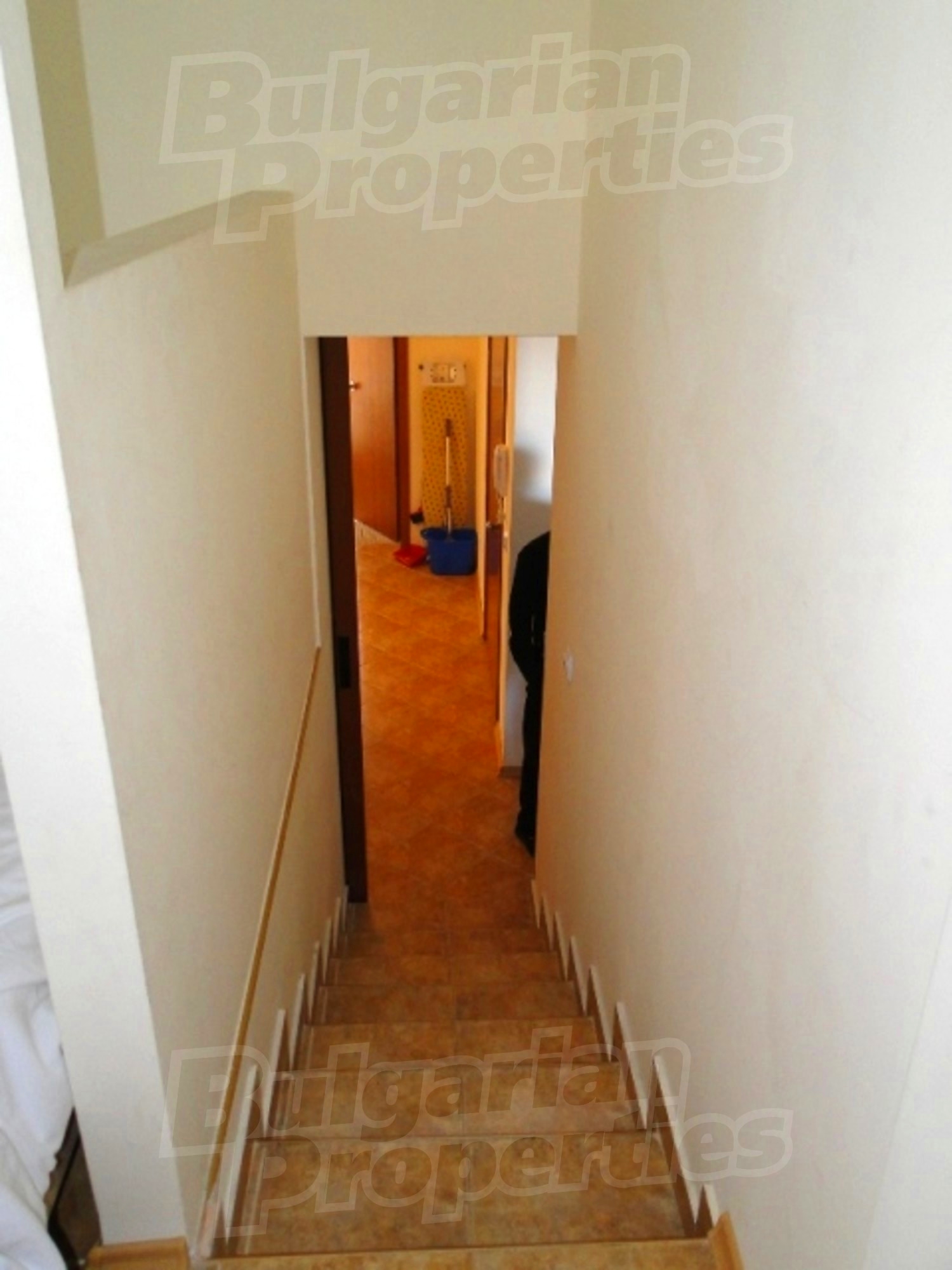 Gallery Picture 7