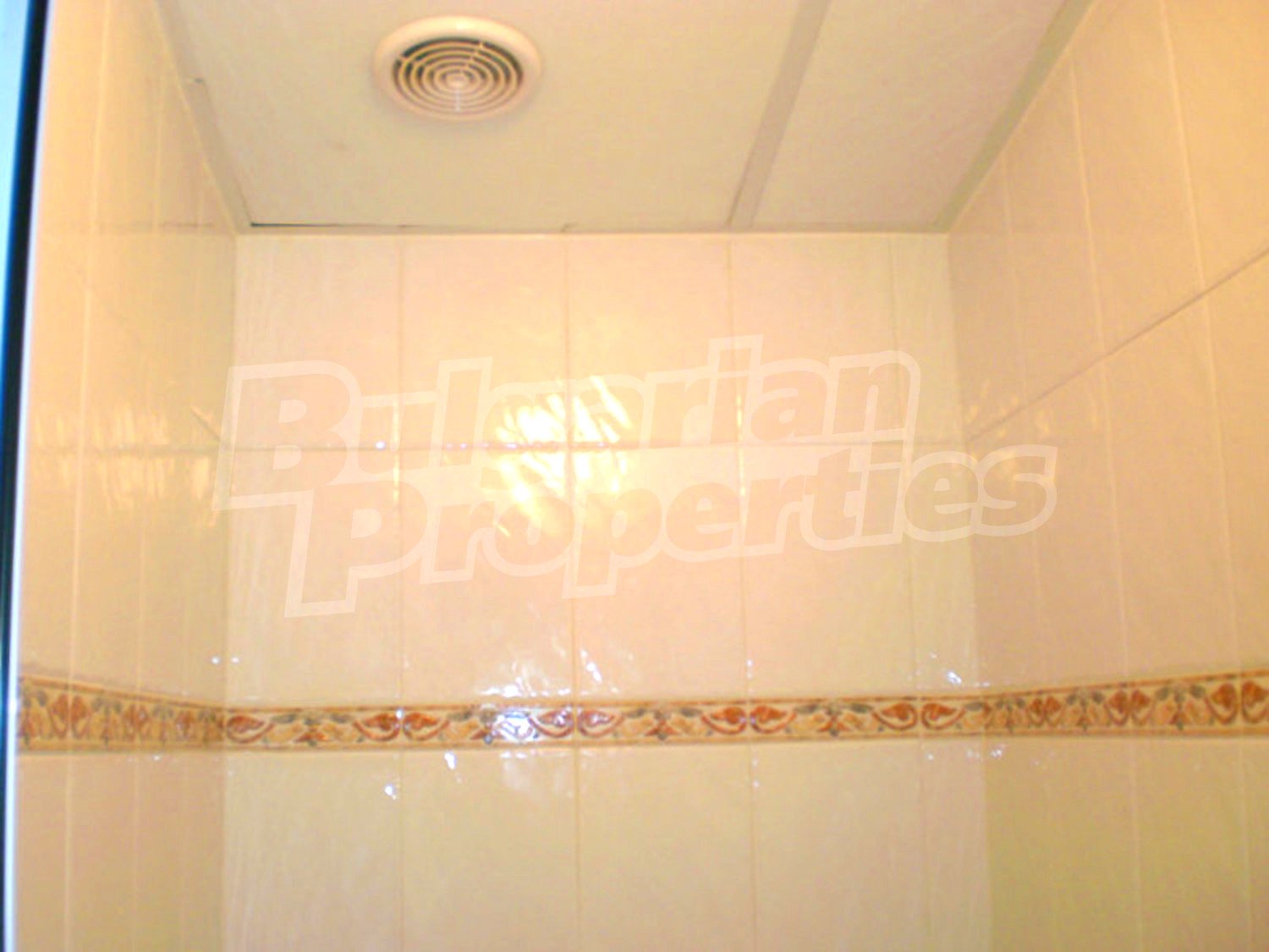 Gallery Picture 12