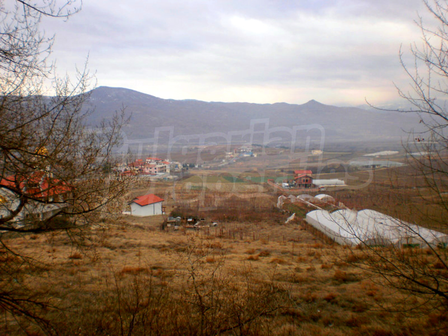 Gallery Picture 19