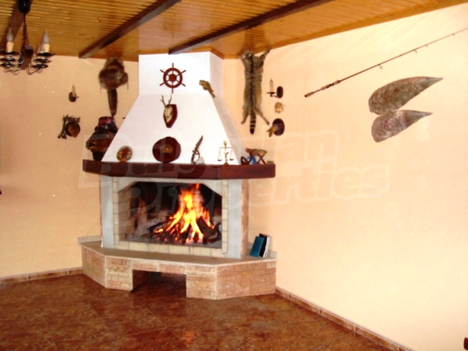 Gallery Picture 7