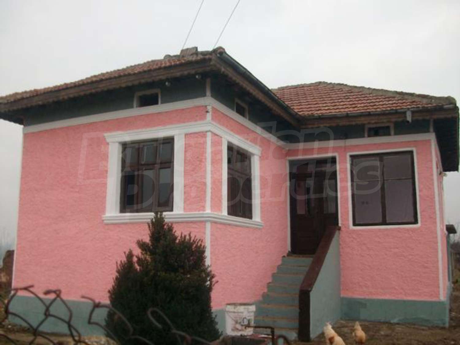 Gallery Picture 4