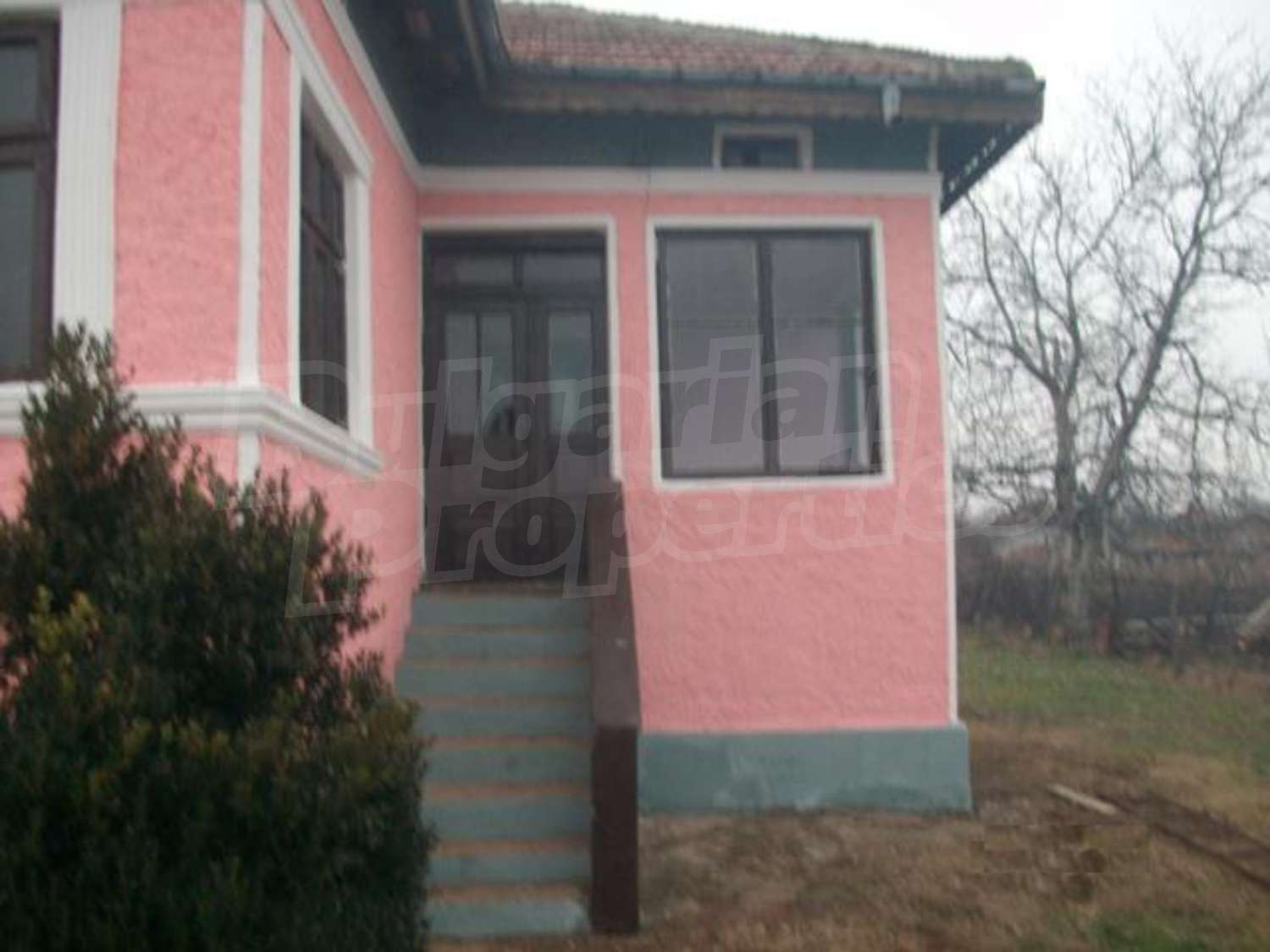 Gallery Picture 5