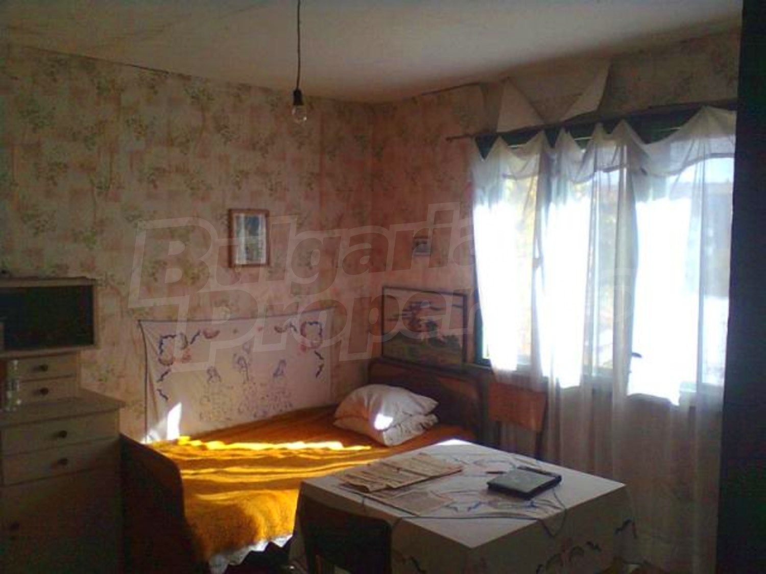 Gallery Picture 10