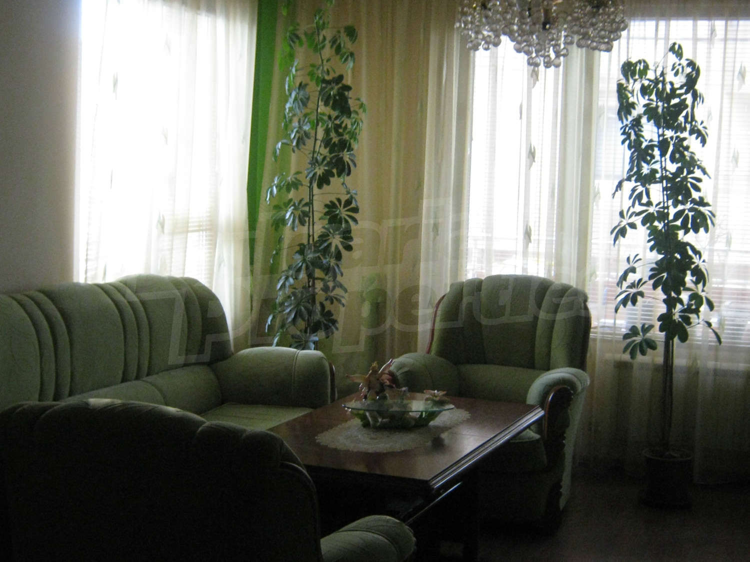 Gallery Picture 14