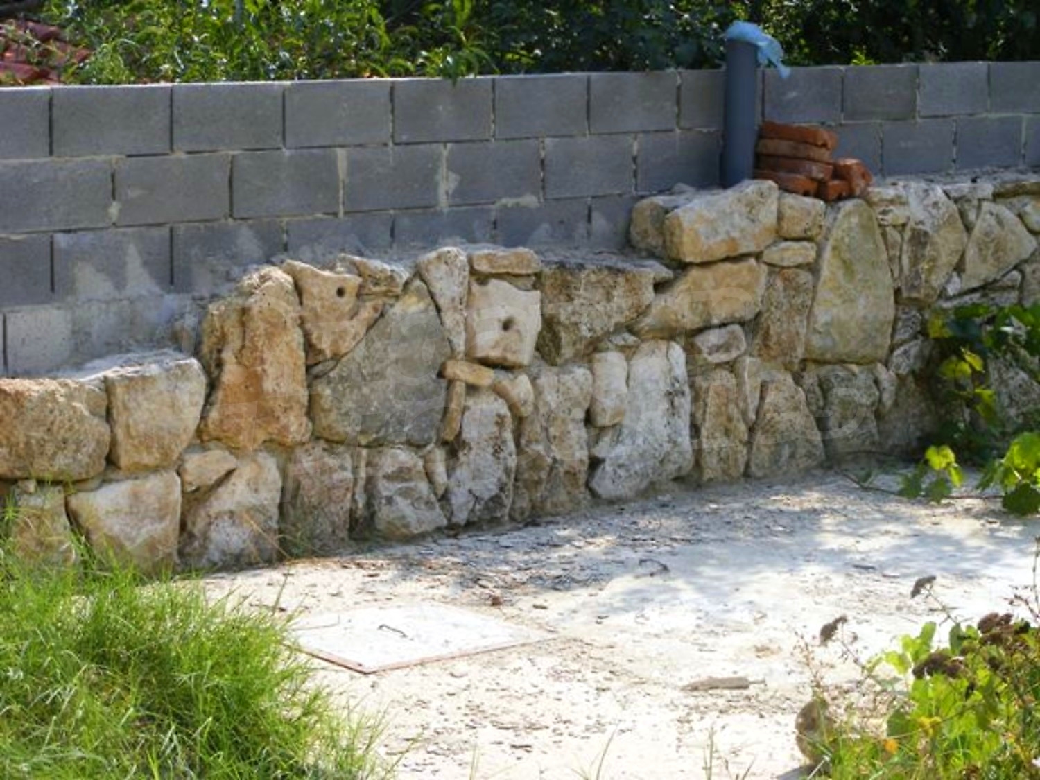 Gallery Picture 7