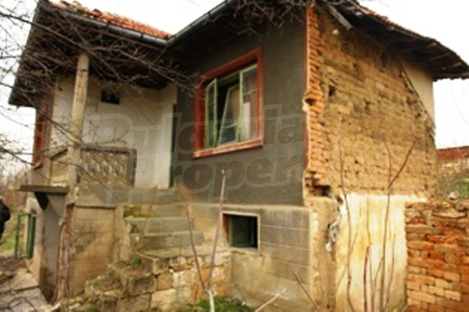 Gallery Picture 9