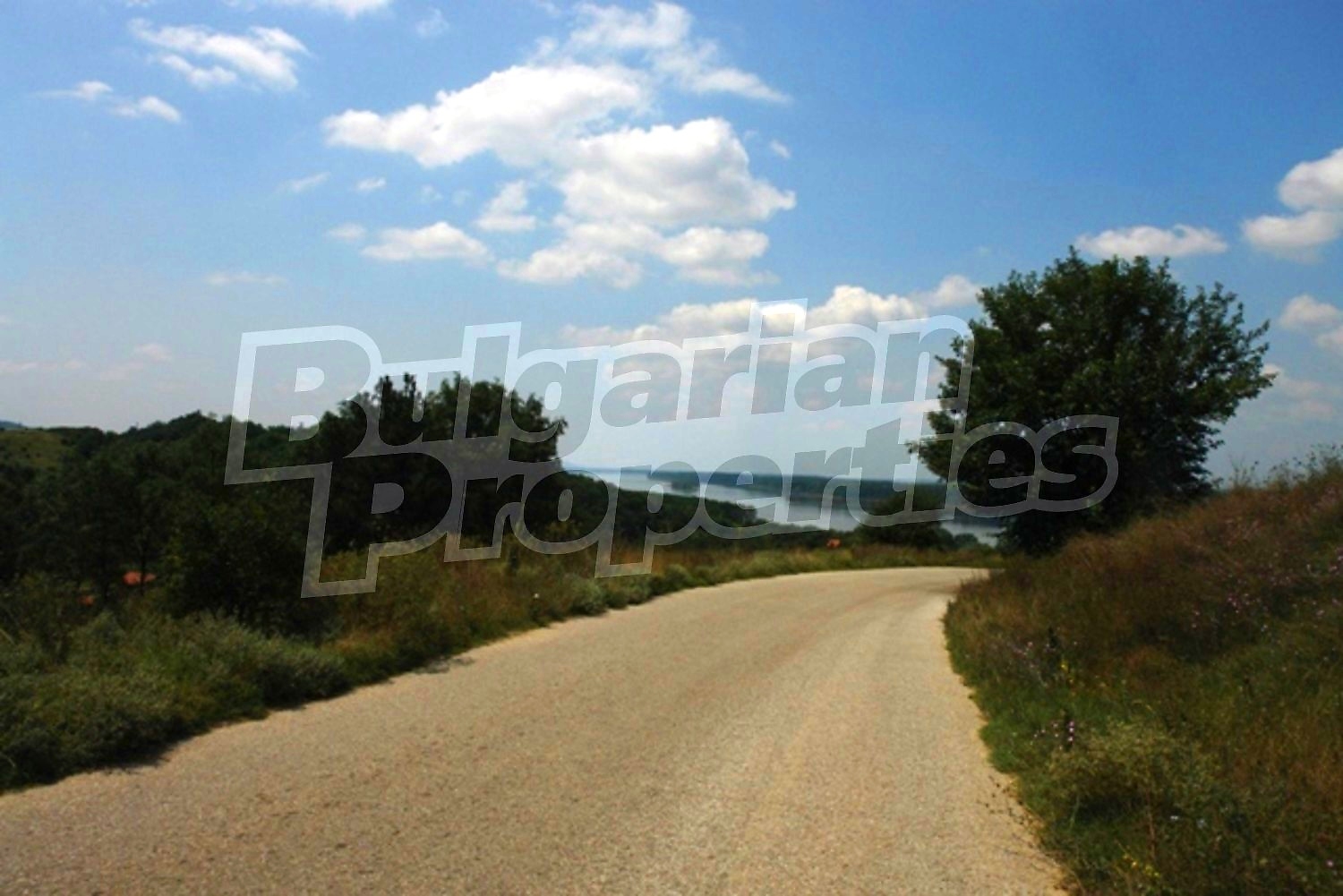 Gallery Picture 7