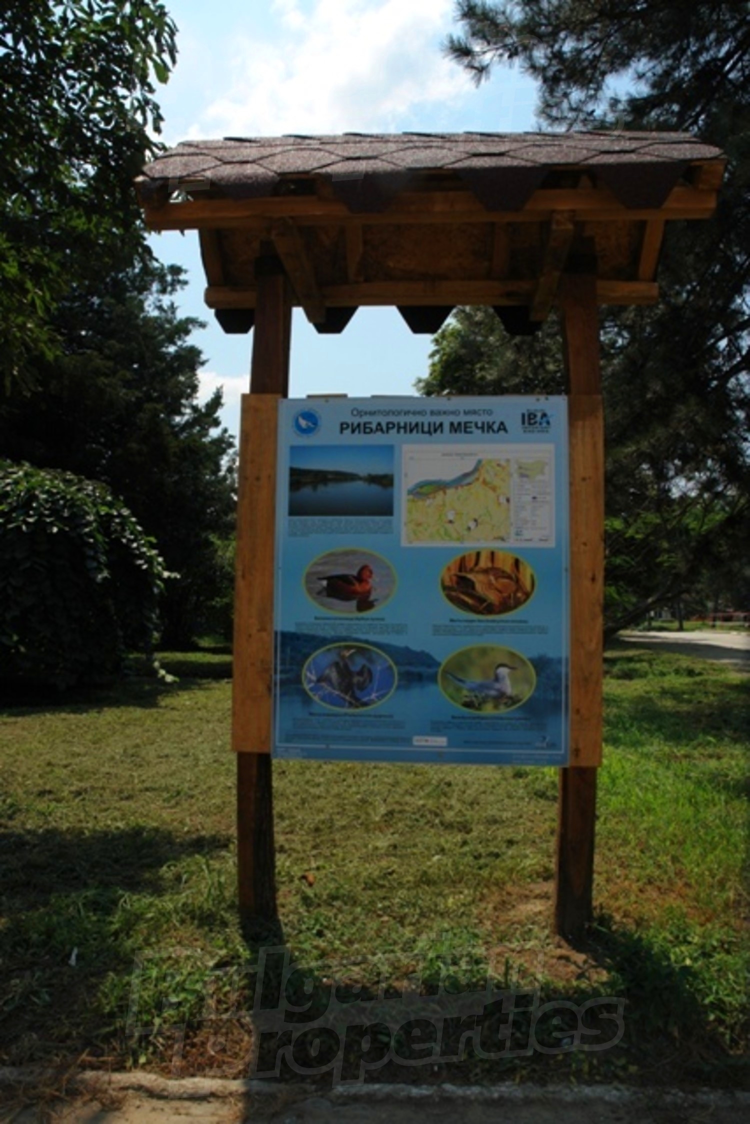 Gallery Picture 7