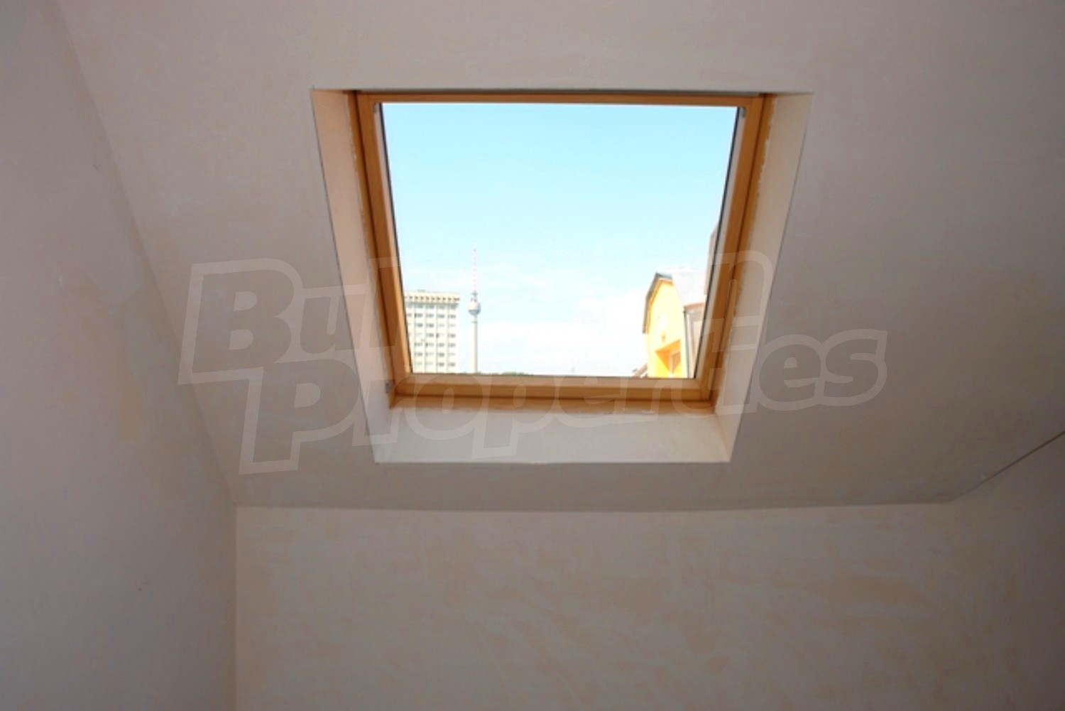 Gallery Picture 16