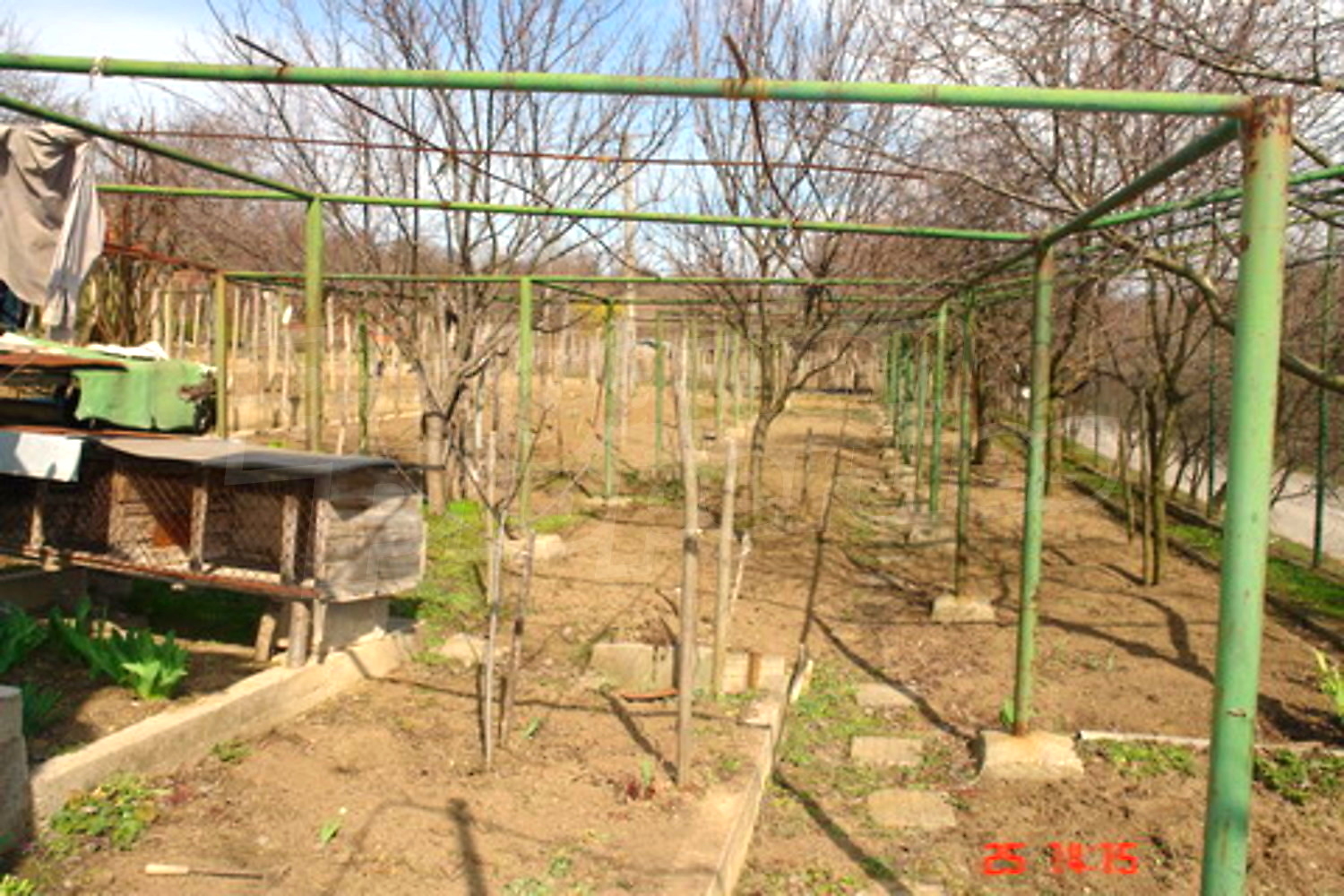 Gallery Picture 4