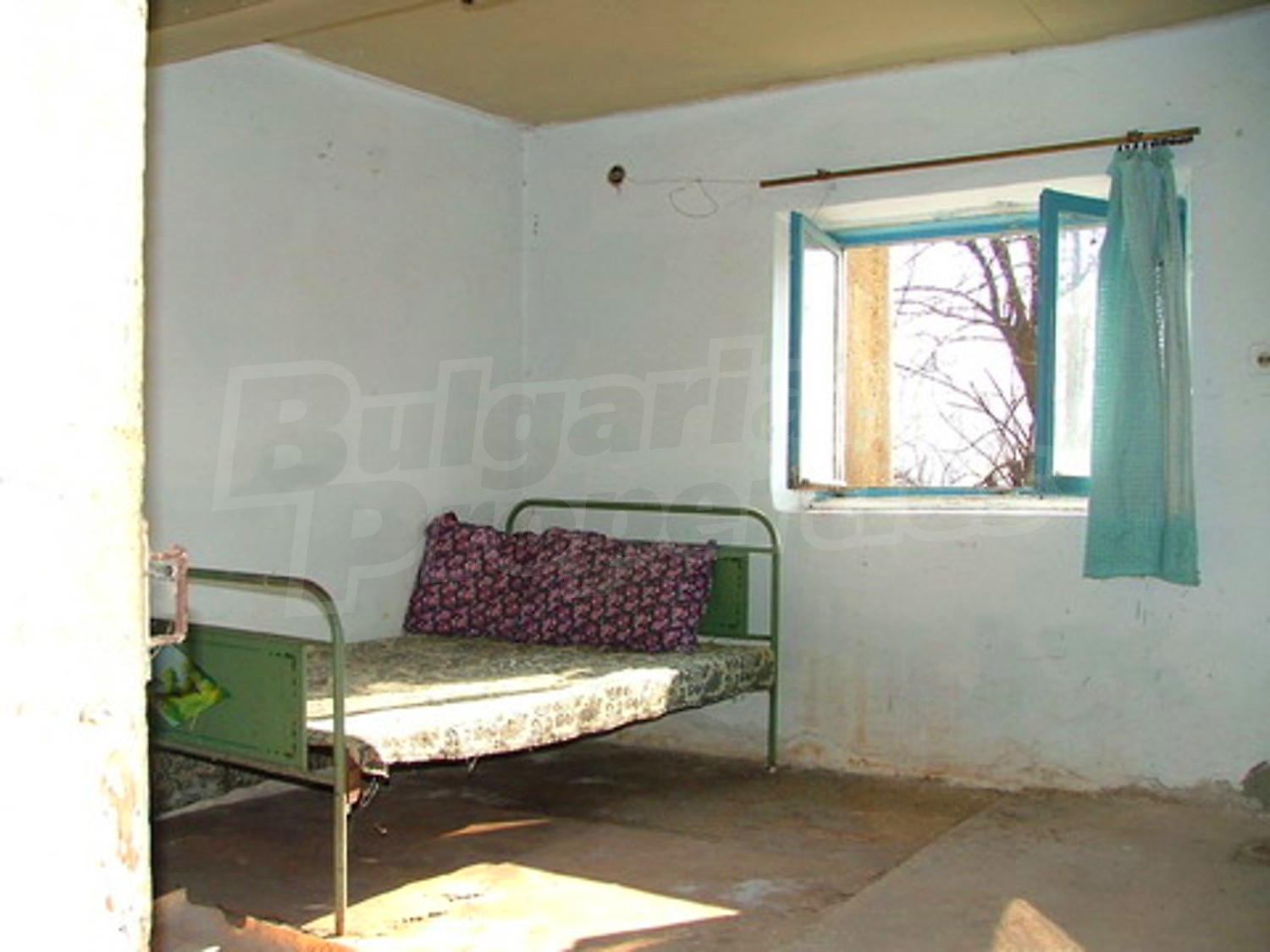 Gallery Picture 6