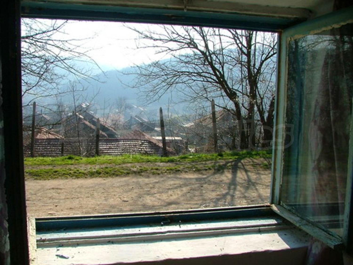 Gallery Picture 7