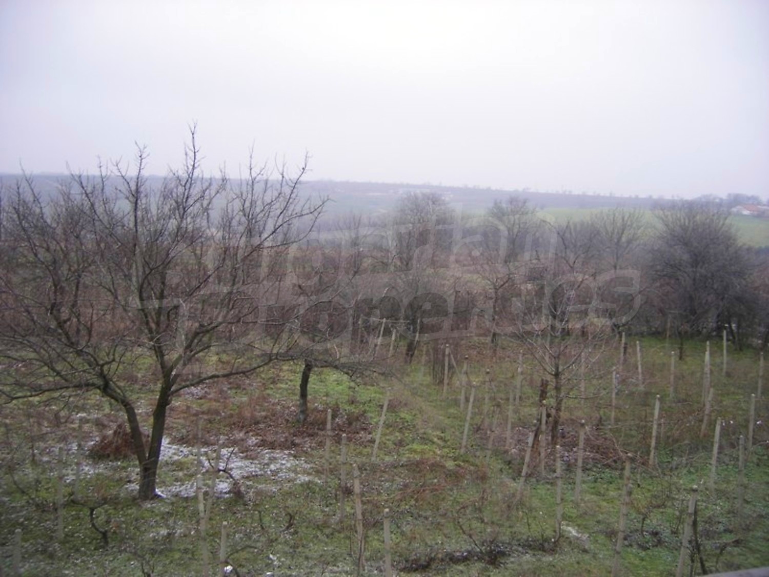 Gallery Picture 6