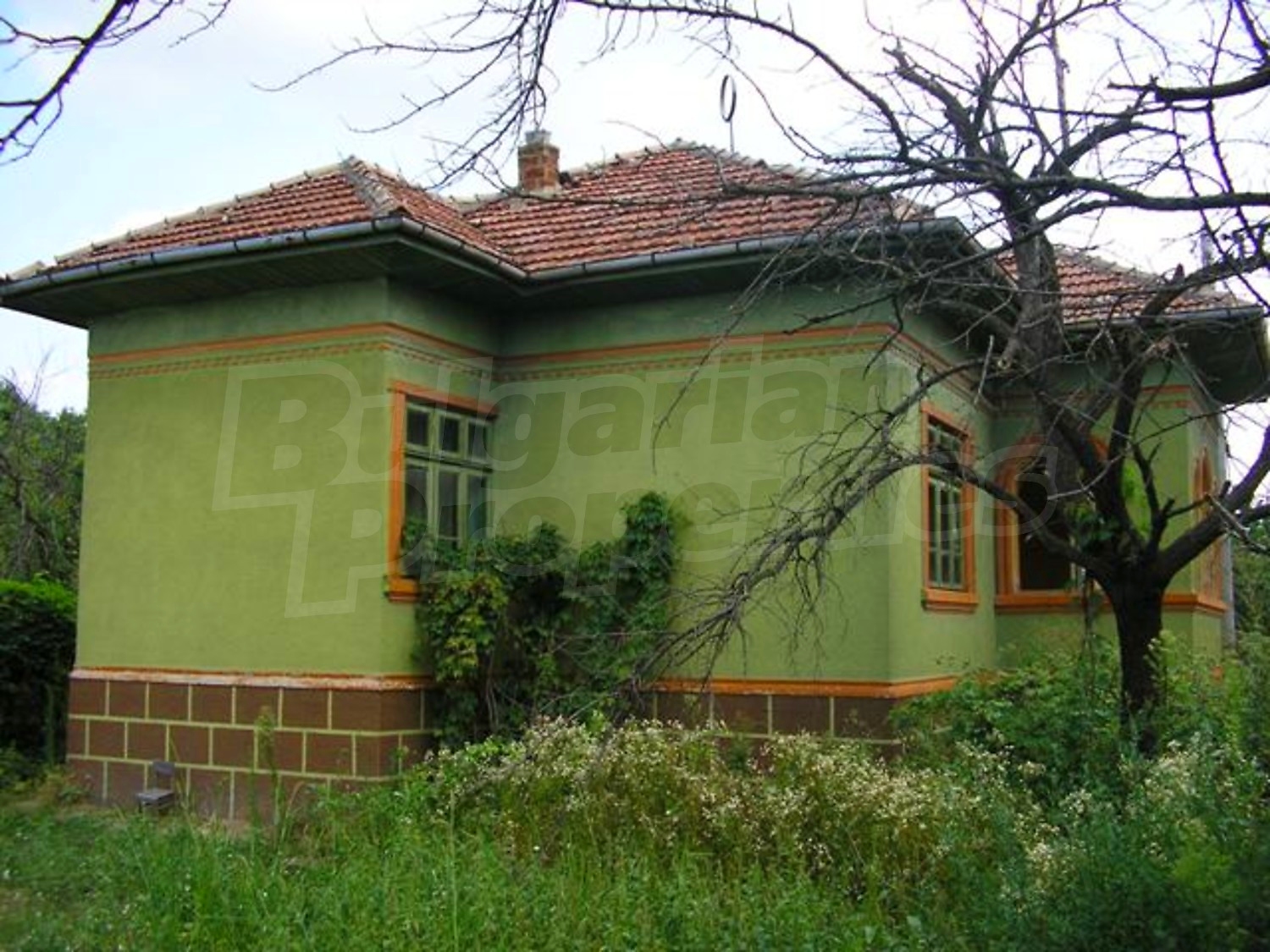 Gallery Picture 3