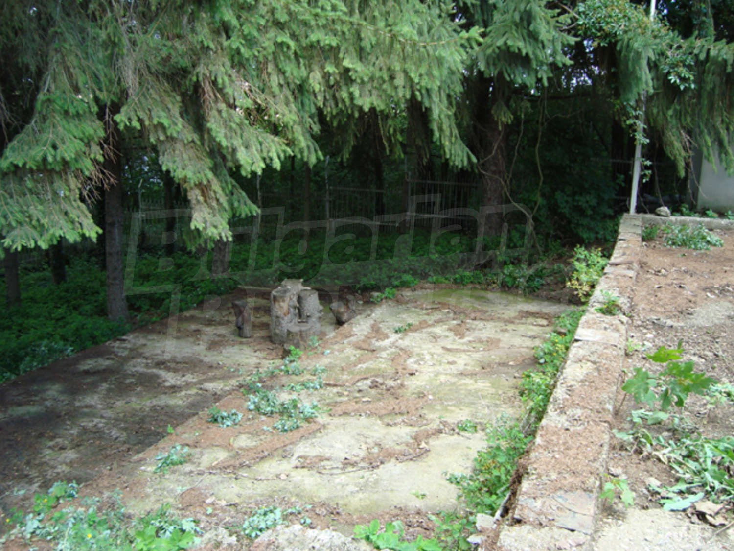 Gallery Picture 20