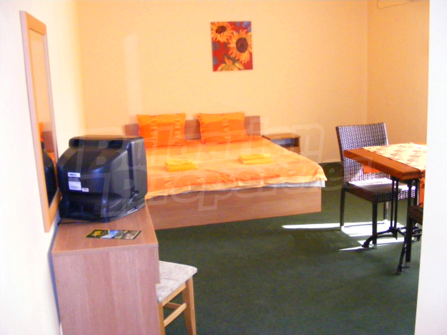 Gallery Picture 17