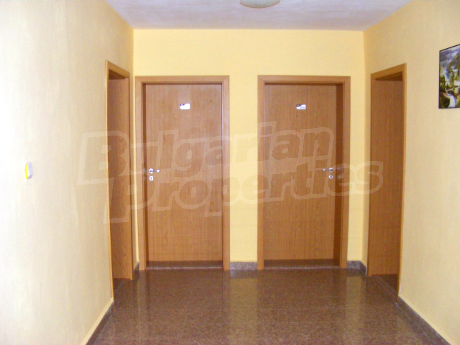 Gallery Picture 6