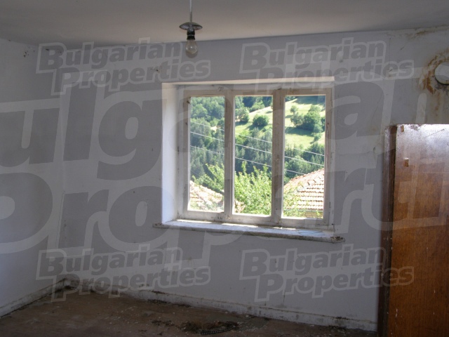 Gallery Picture 10