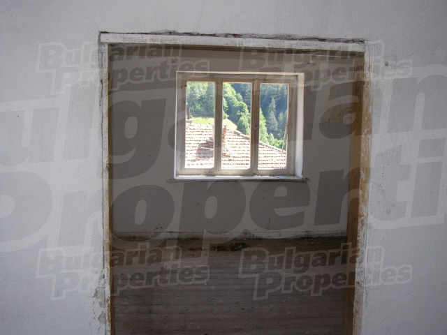 Gallery Picture 11