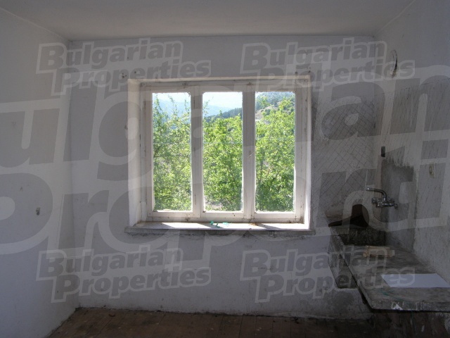 Gallery Picture 12