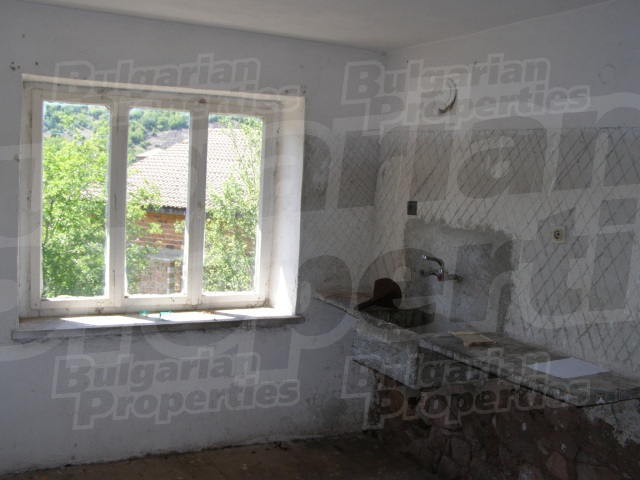 Gallery Picture 13