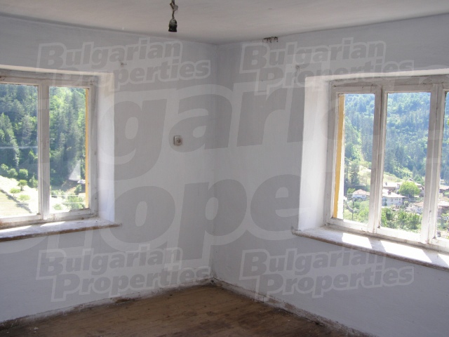 Gallery Picture 14