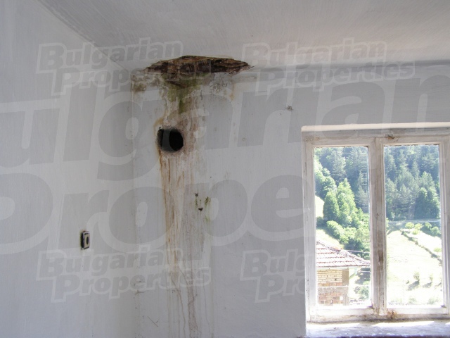 Gallery Picture 15