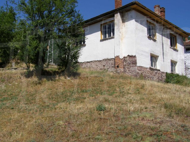 Gallery Picture 16