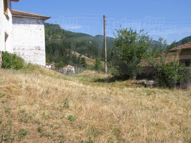 Gallery Picture 17