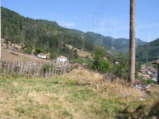 Gallery Picture 19