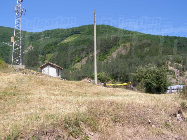 Gallery Picture 23