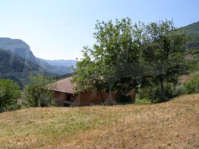 Gallery Picture 24