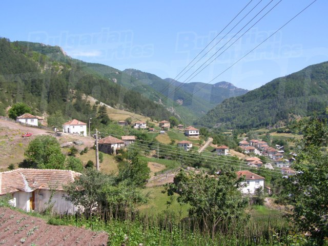 Gallery Picture 28